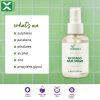 Avocado Hair Serum